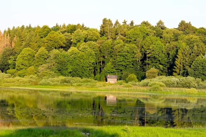 Ferienhaus Mauer Krombachtalsperre, Exclusive Nebenkosten Strom Driedorf Exterior foto